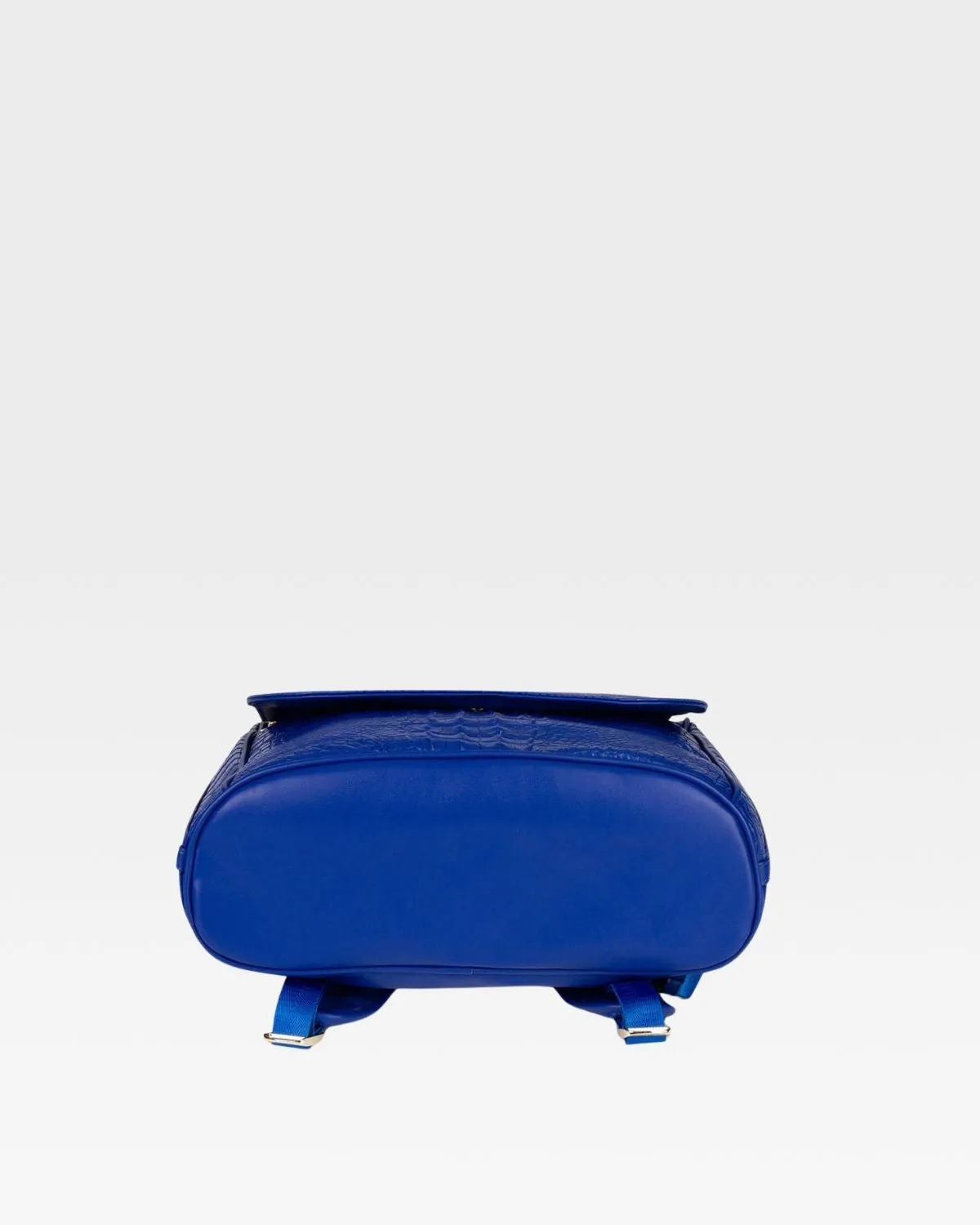 Apollo 2 Backpack in Royal Blue