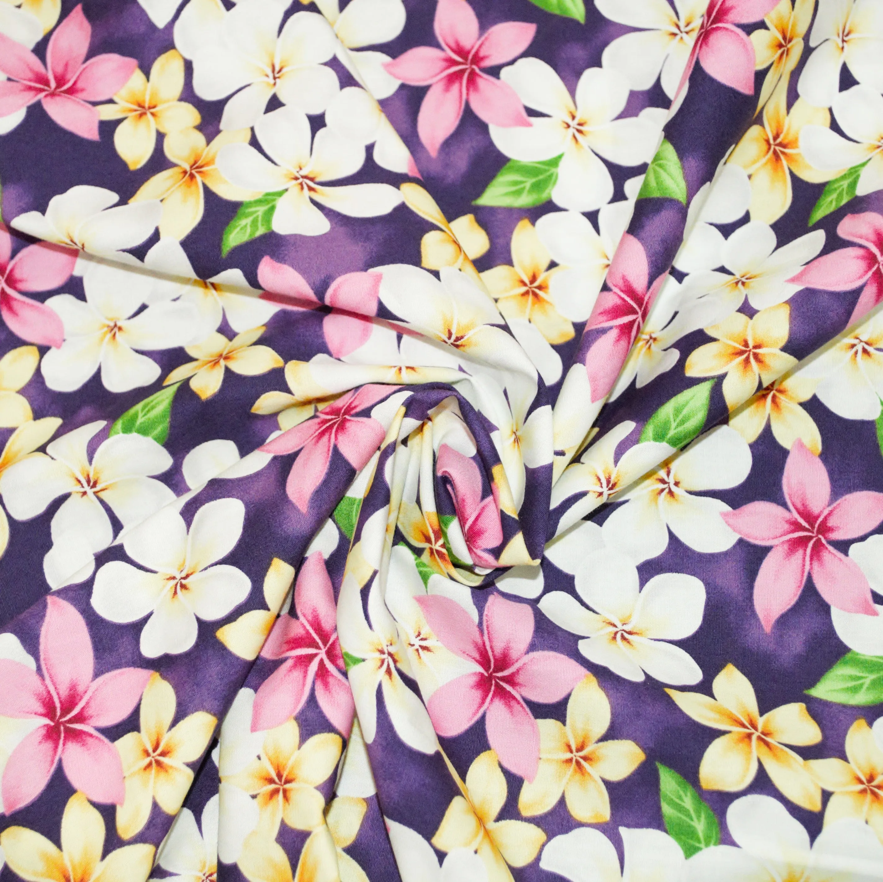 Assorted Plumeria on Purple Background
