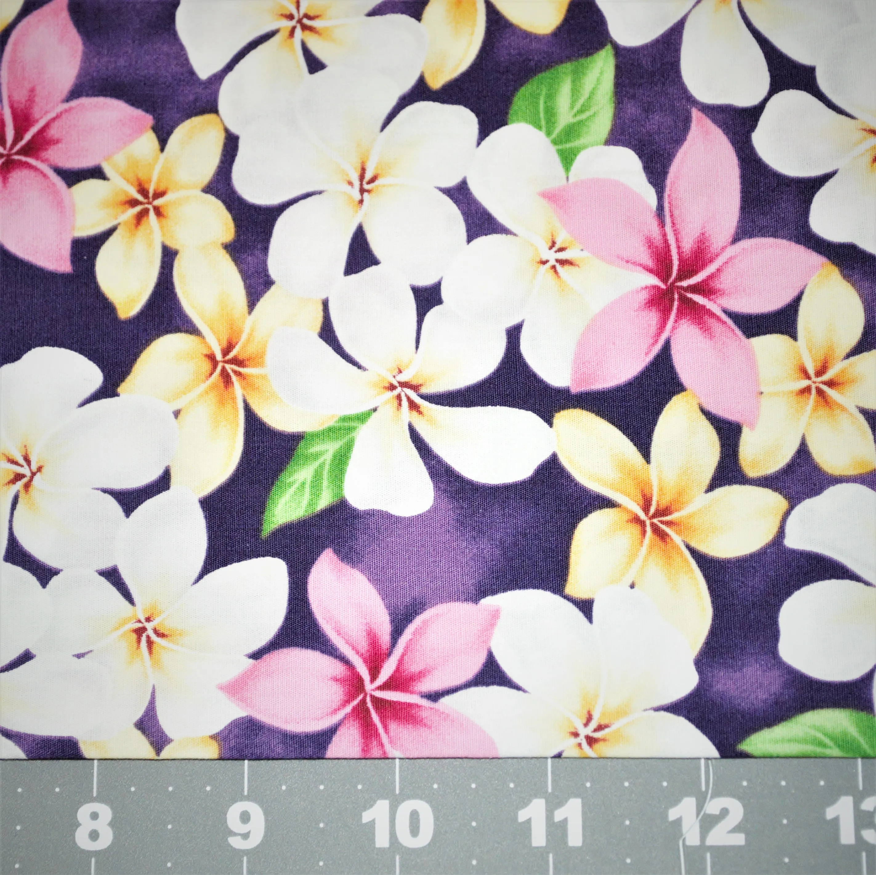 Assorted Plumeria on Purple Background