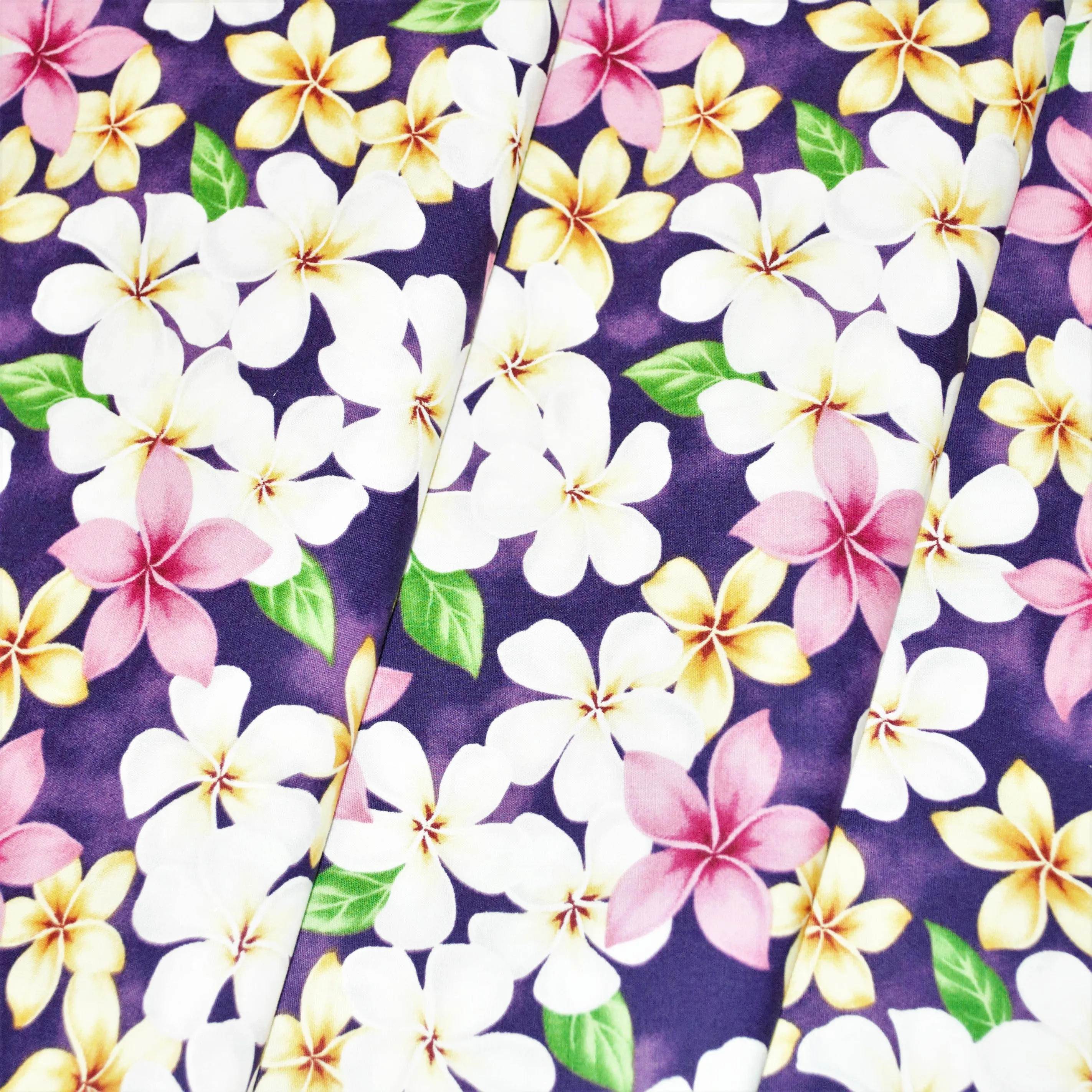 Assorted Plumeria on Purple Background