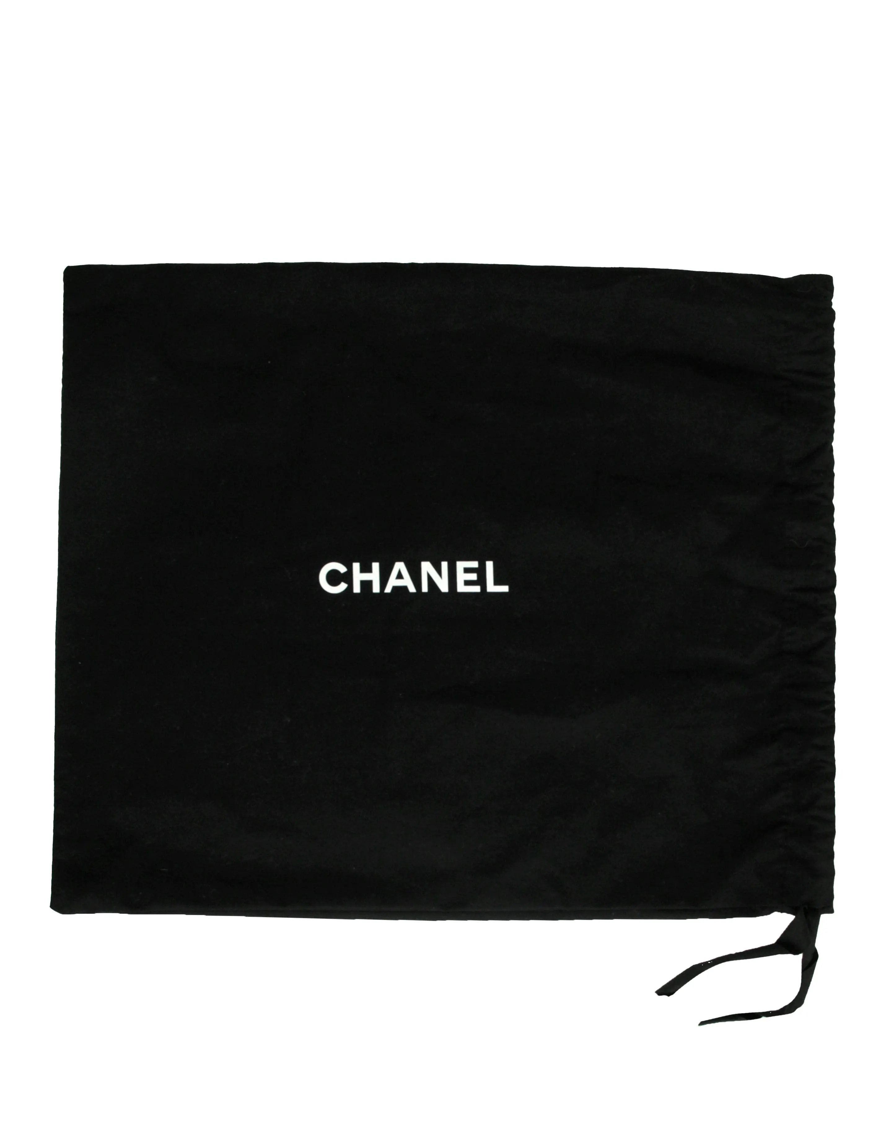 Chanel NWT 2022 Light Blue Lambskin Quilted Medium 19 Bag