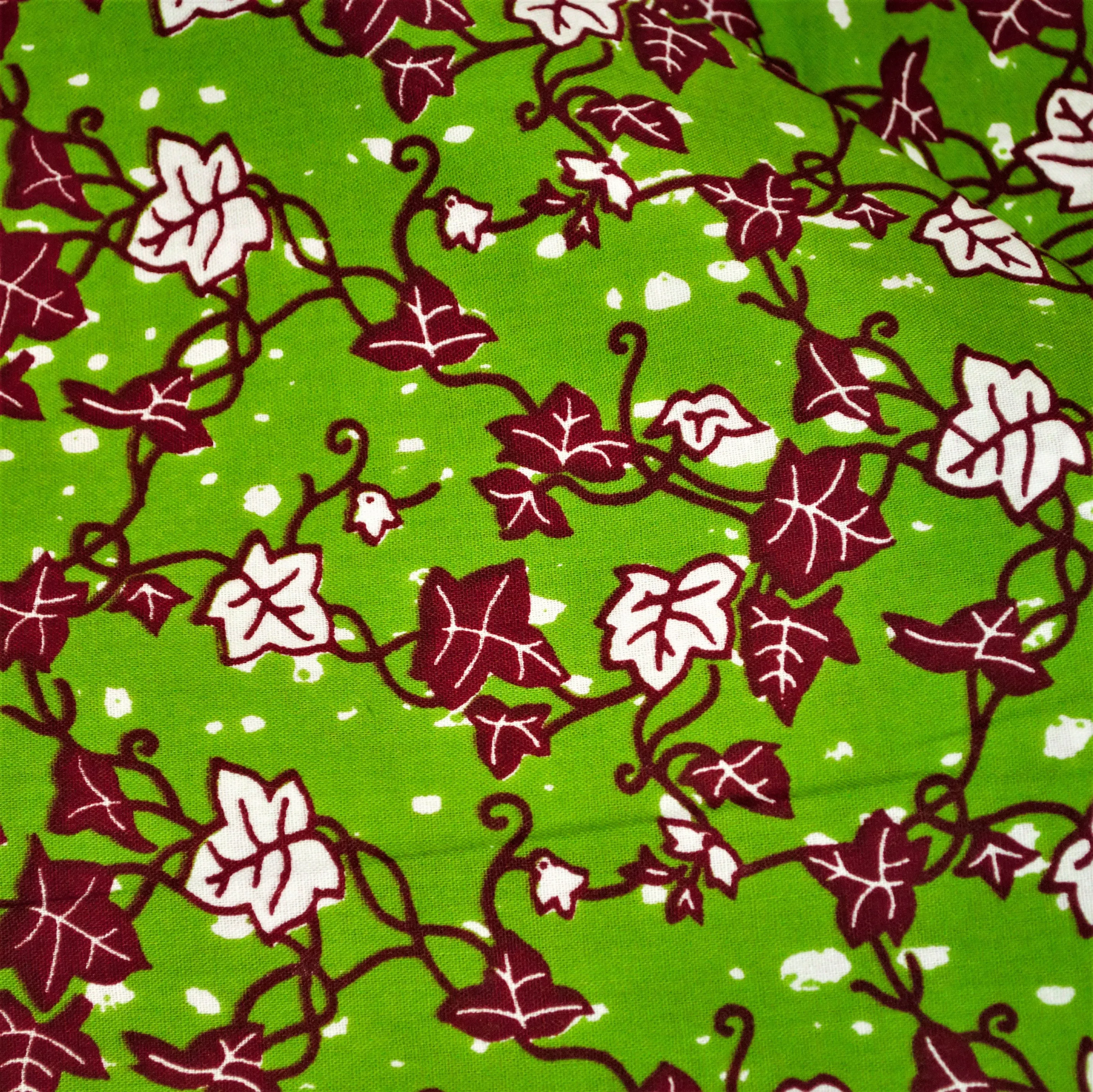 Climbing Ivy on Green Background