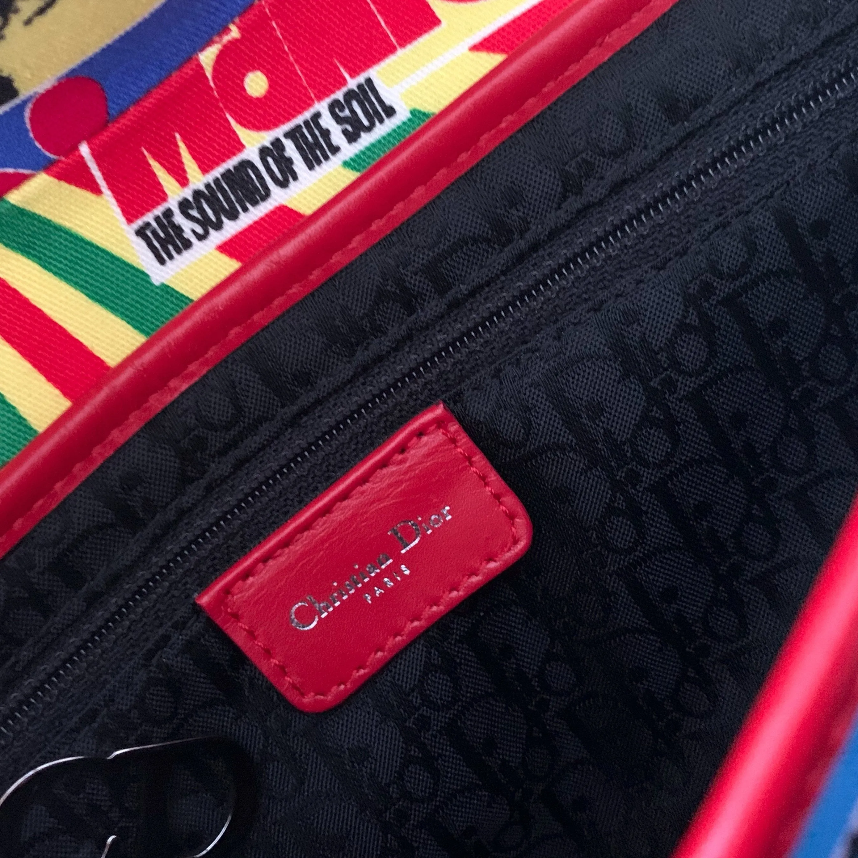 Dior Mania Saddle Bag