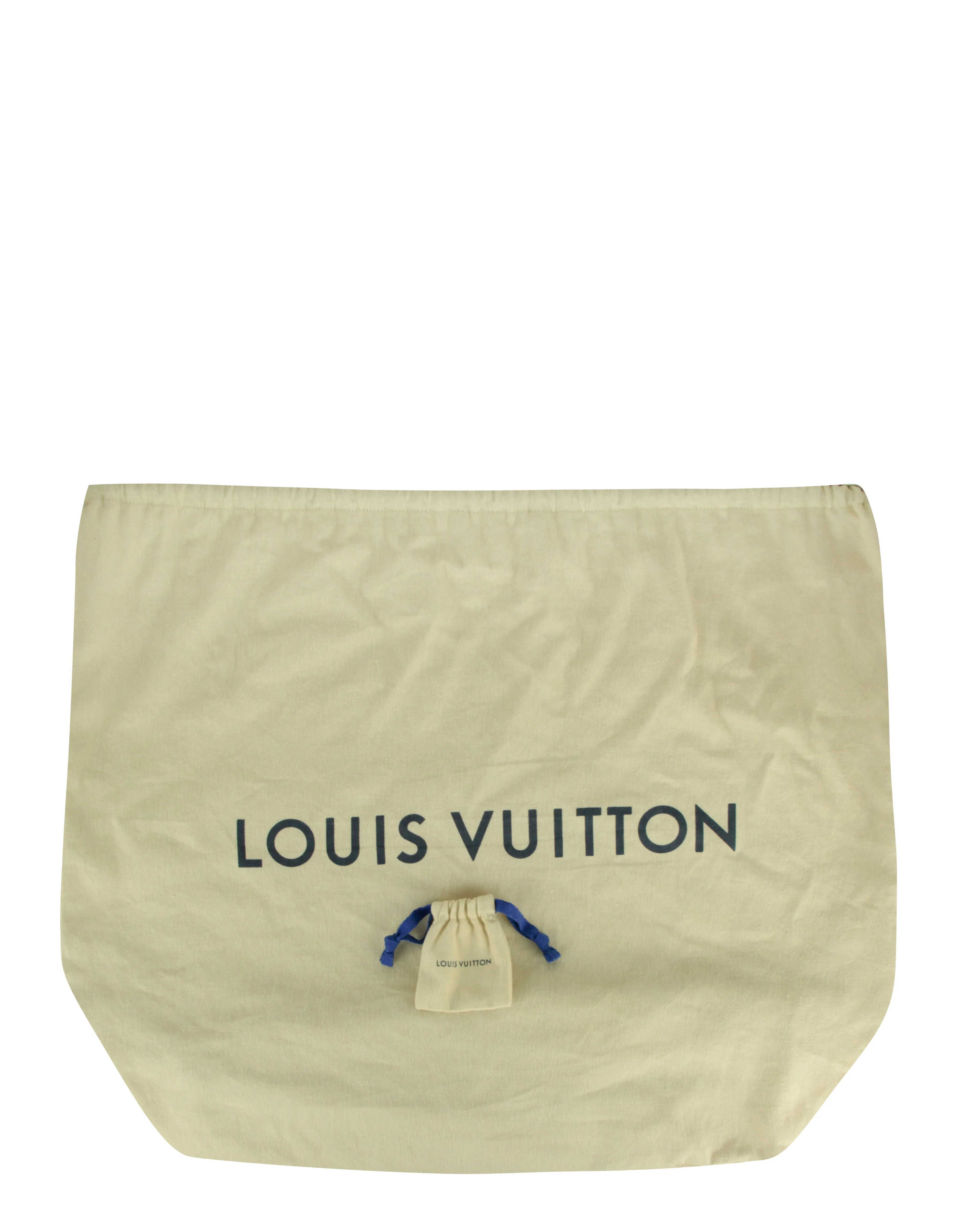 Louis Vuitton Damier Ebene Iena MM Tote