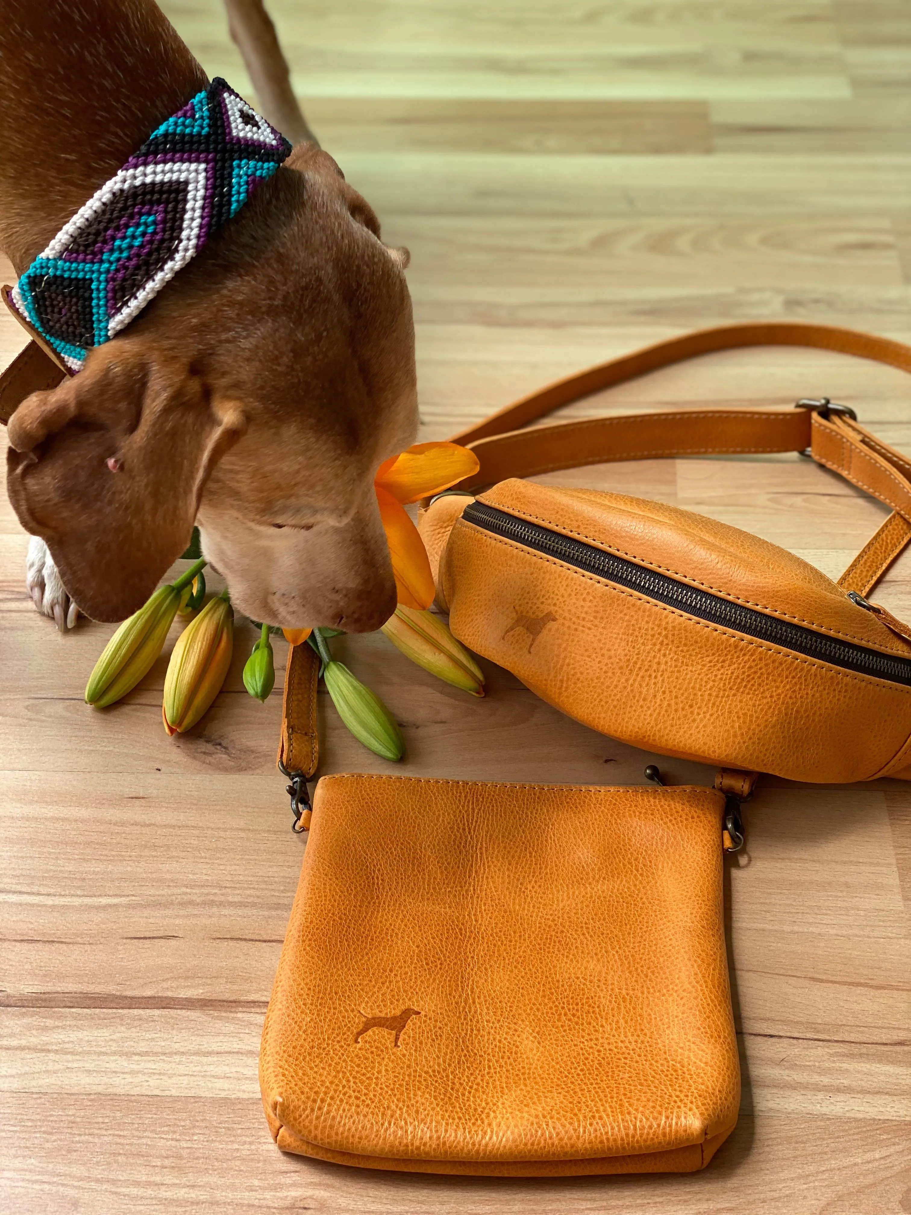 The Fanny Lu Pack